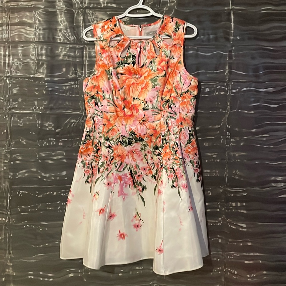 Laura Petite floral dress, knee length